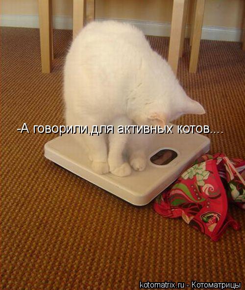 Котоматрица: -А говорили,для активных котов....
