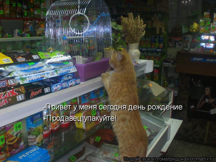 Котоматрица: -Привет у меня сегодня день рождение -Продавец упакуйте!