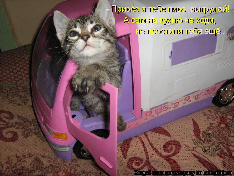 Котоматрица: - Привёз я тебе пиво, выгружай! А сам на кухню не ходи, не простили тебя ещё...