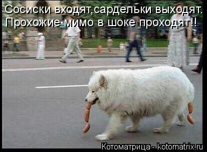 Котоматрица: Сосиски входят,сардельки выходят. Прохожие мимо в шоке проходят!!