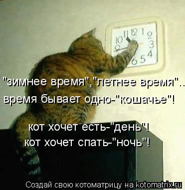 Котоматрица: "зимнее время","летнее время"... время бывает одно-"кошачье"! кот хочет есть-"день"! кот хочет спать-"ночь"!