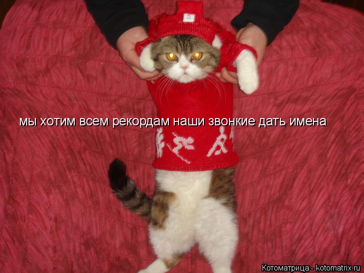Котоматрица: мы хотим всем рекордам наши звонкие дать имена