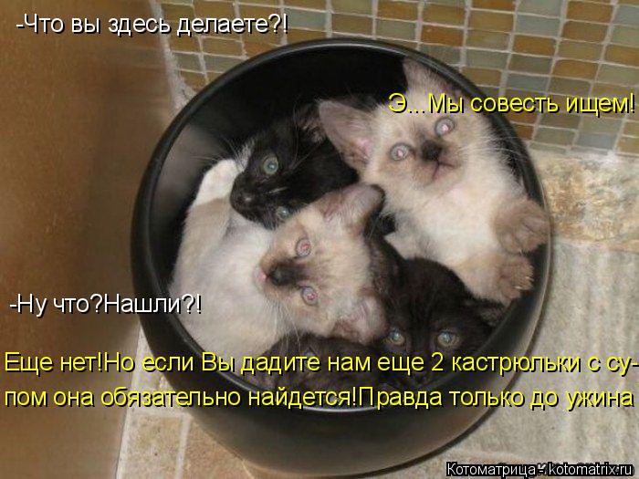 -Что вы здесь делаете?! Э...Мы совесть ищем! -Ну что?Нашли?! Еще нет!Но если Вы дадите нам еще 2 каст... Котоматрица: -Что вы здесь делаете?! Э...Мы совесть ищем! -Ну что?Нашли?! Еще нет!Но если Вы дадите нам еще 2 кастрюльки с су- пом она обязательно найдется!Пра