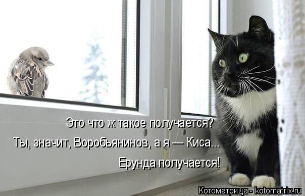 Котоматрица: Это что ж такое получается? Ты, значит, Воробьянинов, а я — Киса... Ерунда получается!