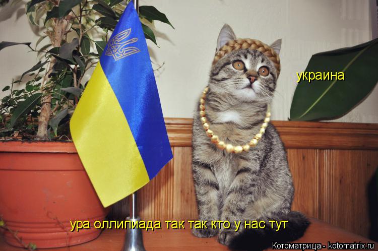 ура оллипиада так так кто у нас тут украина... Котоматрица: ура оллипиада так так кто у нас тут украина