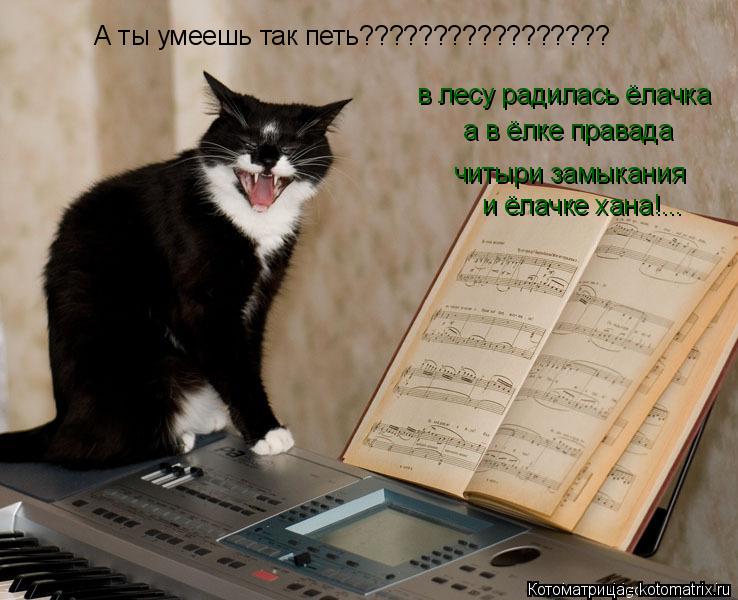 А ты умеешь так петь????????????????? в лесу радилась ёлачка а в ёлке правада читыри замыкания и ёла... Котоматрица: А ты умеешь так петь????????????????? в лесу радилась ёлачка а в ёлке правада читыри замыкания и ёлачке хана!...