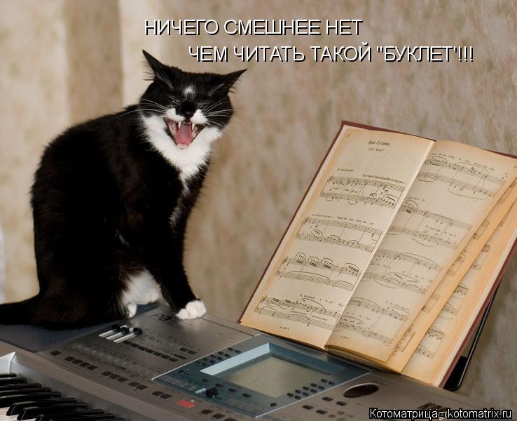 Котоматрица: НИЧЕГО СМЕШНЕЕ НЕТ ЧЕМ ЧИТАТЬ ТАКОЙ "БУКЛЕТ'!!!