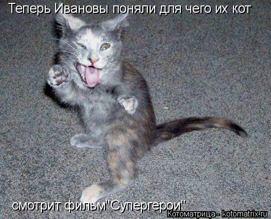 Теперь Ивановы поняли для чего их кот смотрит фильм"Супергерои"... Котоматрица: Теперь Ивановы поняли для чего их кот смотрит фильм"Супергерои"
