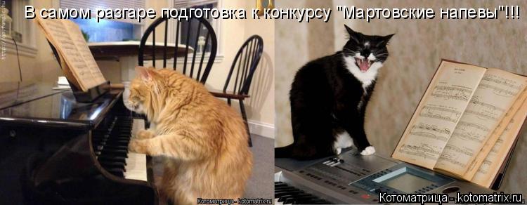 Котоматрица: В самом разгаре подготовка к конкурсу "Мартовские напевы"!!!