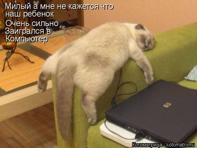 Котоматрица: Милый а мне не кажется что наш ребенок Очень сильно Заигрался в Компьютер