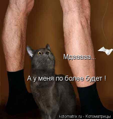 Котоматрица: Мдааааа... А у меня по более будет !