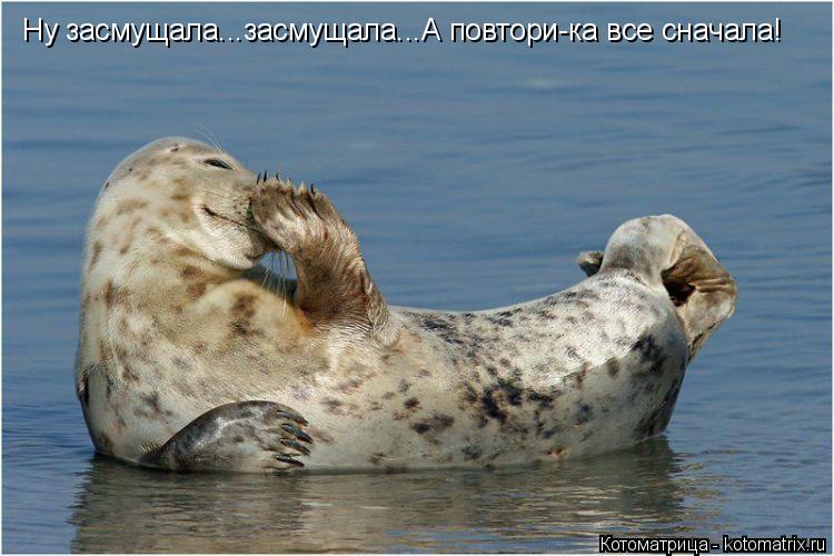 Котоматрица: Ну засмущала...засмущала...А повтори-ка все сначала!