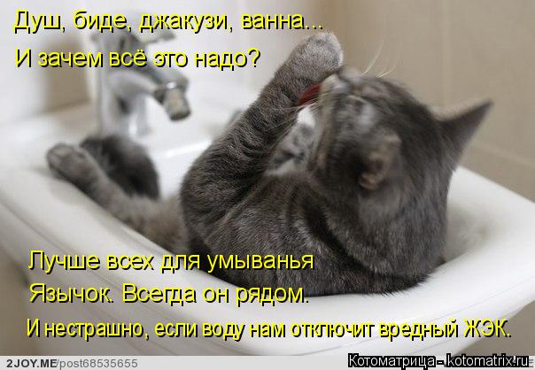 Котоматрица: Душ, биде, джакузи, ванна... И зачем всё это надо? Лучше всех для умыванья Язычок. Всегда он рядом. И нестрашно, если воду нам отключит вредный 