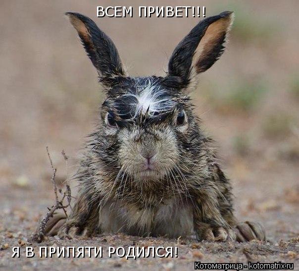 Котоматрица: ВСЕМ ПРИВЕТ!!! Я В ПРИПЯТИ РОДИЛСЯ!