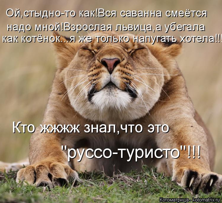 Котоматрица: Ой,стыдно-то как!Вся саванна смеётся как котёнок...я же только напугать хотела!!! Кто жжжж знал,что это "руссо-туристо"!!! надо мной!Взрослая ль