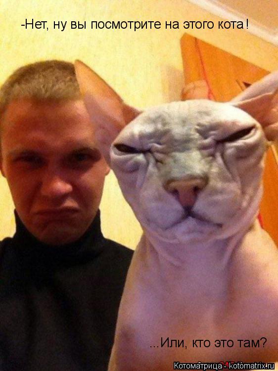 Котоматрица: -Нет, ну вы посмотрите на этого кота ! ...Или, кто это там?