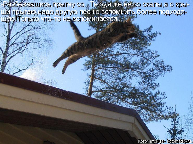 Котоматрица: -Разбежавшись,прыгну со...Тьфу,я же не со скалы,а с кры- ши прыгаю,надо другую песню вспомнить,более подходя- щую!Только что-то не вспоминаетс