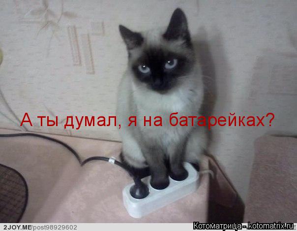 Котоматрица: А ты думал, я на батарейках?