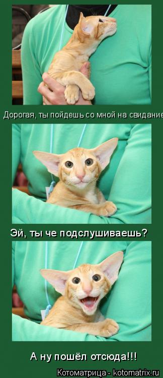 Ну что пойдешь со мной Ну что пойдешь со мной