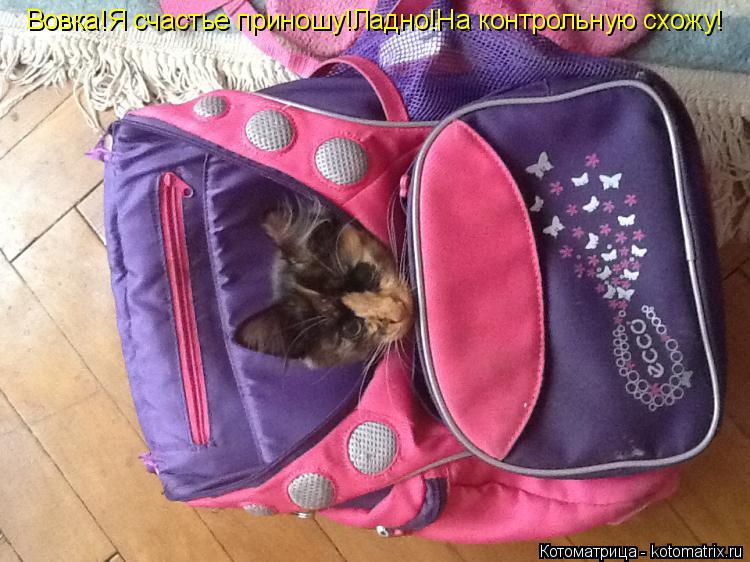 Котоматрица: Вовка!Я счастье приношу!Ладно!На контрольную схожу!