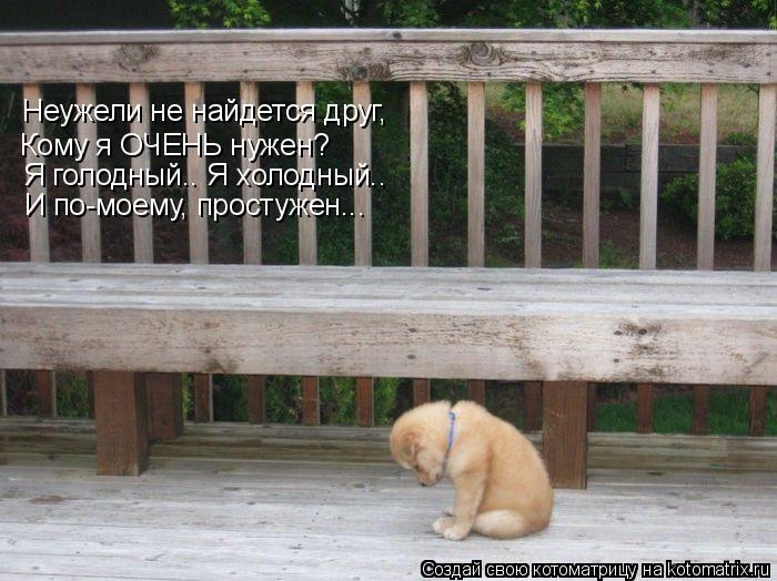 Котоматрица: Неужели не найдется друг, Кому я ОЧЕНЬ нужен? Я голодный.. Я холодный.. И по-моему, простужен...