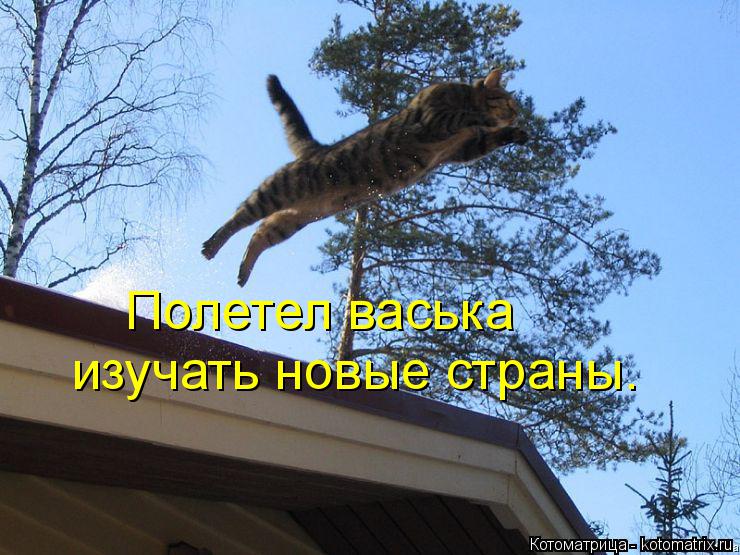 Котоматрица: Полетел васька изучать новые страны.