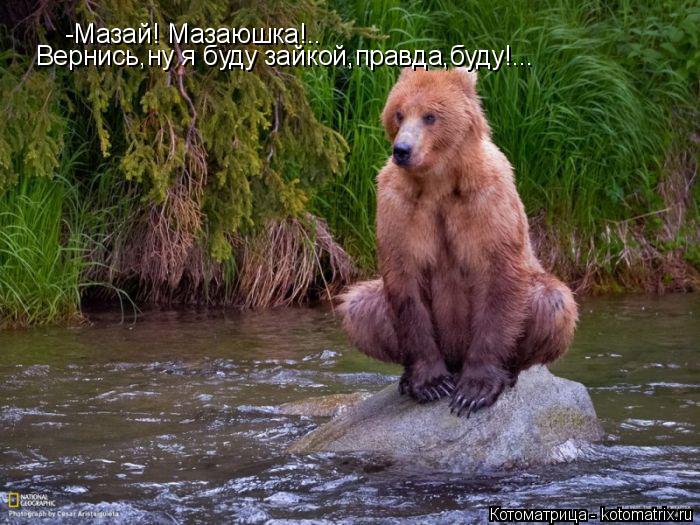 Котоматрица: -Мазай! Мазаюшка!.. Вернись,ну я буду зайкой,правда,буду!...