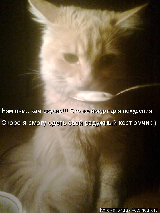 Котоматрица: Ням ням...кам вкусно!!! Это же йогурт для похудения! Скоро я смогу одеть свой радужный костюмчик:)