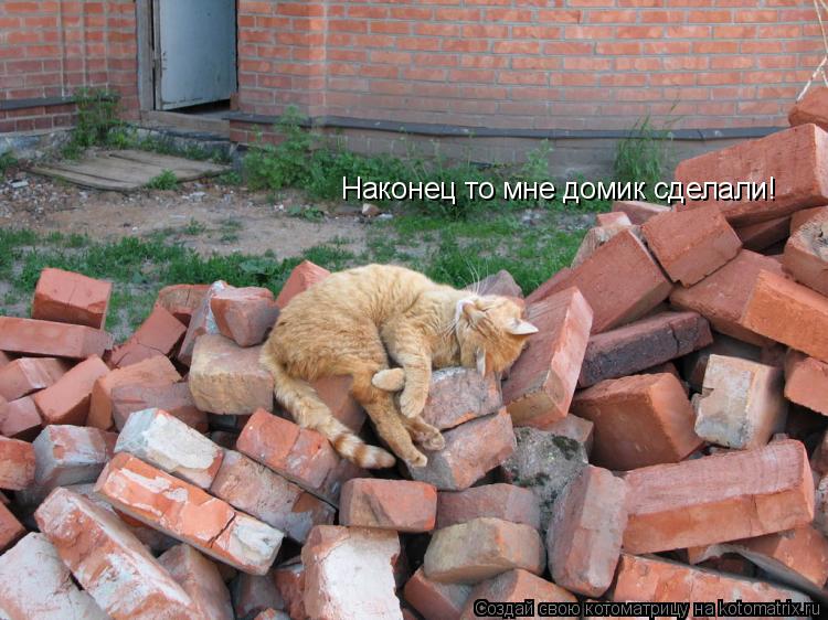 Котоматрица: Наконец то мне домик сделали!