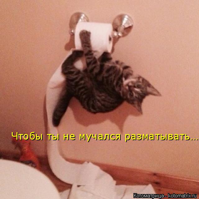 Котоматрица: Чтобы ты не мучался разматывать…