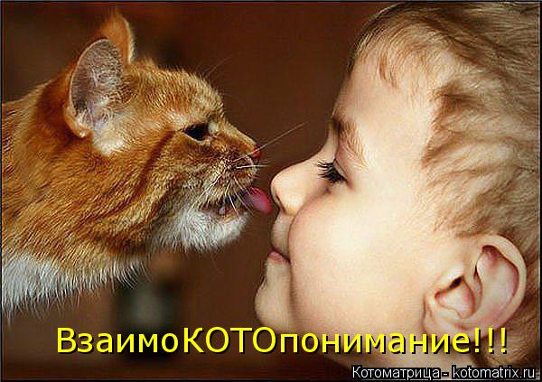 Котоматрица: ВзаимоКОТОпонимание!!!