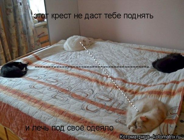 Котоматрица: --------------------------------- ------------------------------------------ этот крест не даст тебе поднять  и лечь под своё одеяло