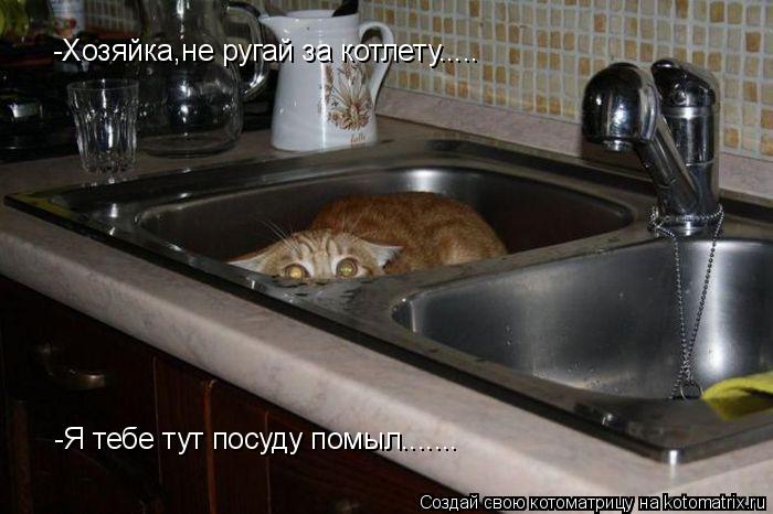 Котоматрица: -Хозяйка,не ругай за котлету..... -Я тебе тут посуду помыл.......