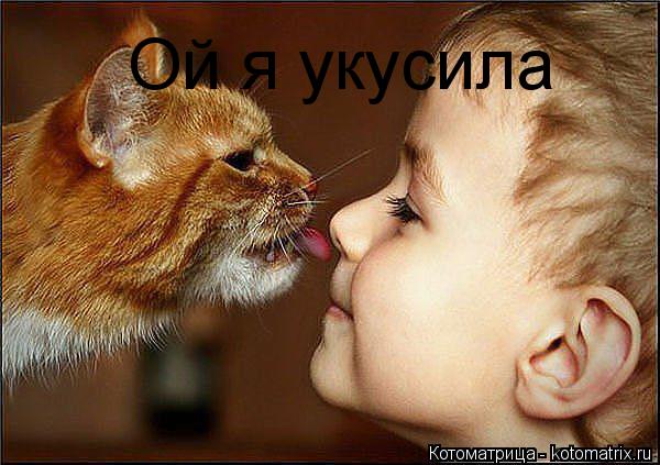 Котоматрица: Ой я укусила