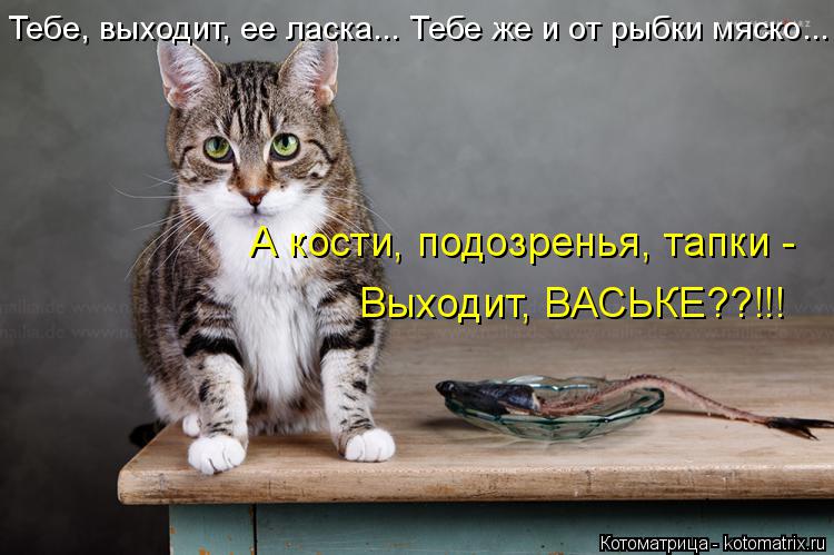 Котоматрица: Тебе, выходит, ее ласка... Тебе же и от рыбки мяско... А кости, подозренья, тапки - Выходит, ВАСЬКЕ??!!!