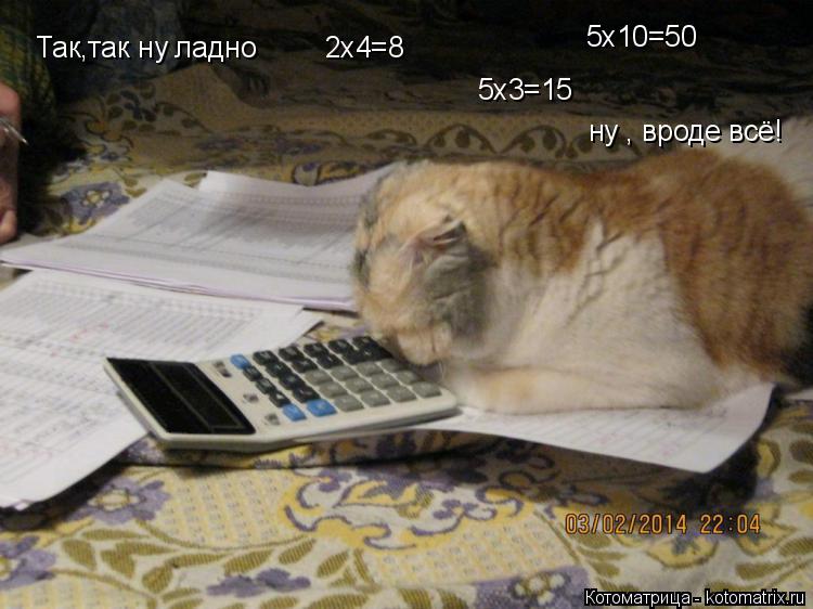 Котоматрица: Так,так ну ладно 5х3=15 5х10=50 2х4=8 ну , вроде всё!
