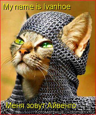 Котоматрица: My name is Ivanhoe Меня зовут Айвенго