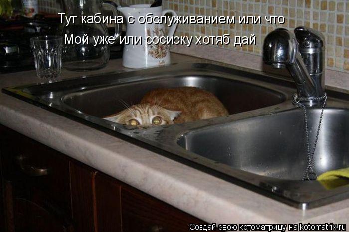 Тут кабина с обслуживанием или что Мой уже или сосиску хотяб дай... Котоматрица: Тут кабина с обслуживанием или что Мой уже или сосиску хотяб дай