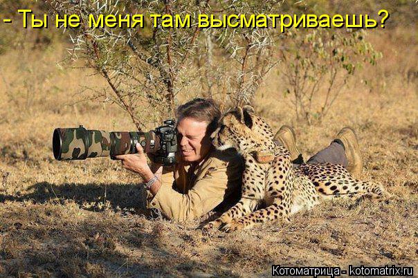 Котоматрица: - Ты не меня там высматриваешь?