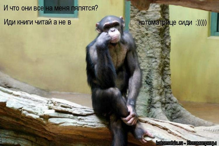 Котоматрица: И что они все на меня пялятся? Иди книги читай а не в котоматрице сиди ;)))))