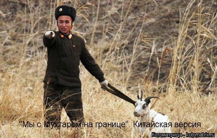 Котоматрица: "Мы с Мухтаром на границе". Китайская версия