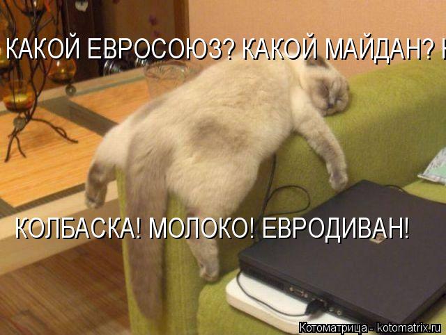 Котоматрица: КАКОЙ ЕВРОСОЮЗ? КАКОЙ МАЙДАН? КОЛБАСКА! МОЛОКО! ЕВРОДИВАН!  КОЛБАСКА! МОЛОКО! ЕВРОДИВАН!