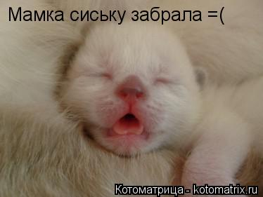 Котоматрица: Мамка сиську забрала =(