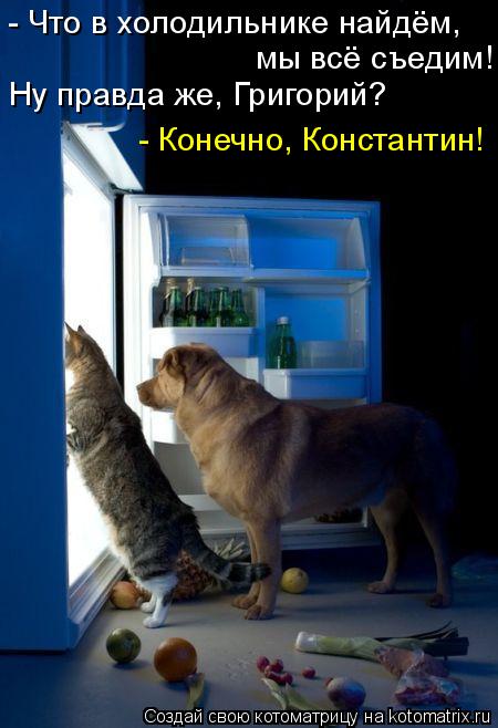Котоматрица: - Что в холодильнике найдём,  мы всё съедим! Ну правда же, Григорий? - Конечно, Константин!