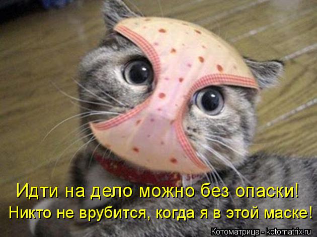 Котоматрица: Идти на дело можно без опаски! Никто не врубится, когда я в этой маске!