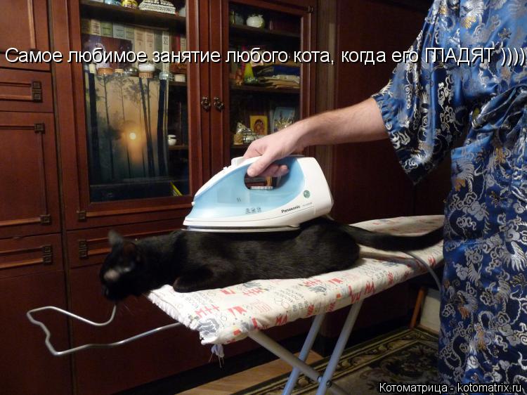 Котоматрица: Самое любимое занятие любого кота, когда его ГЛАДЯТ ))))))