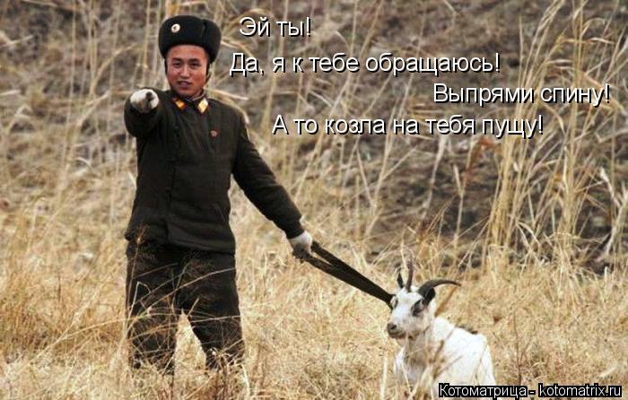 Котоматрица: Эй ты! Да, я к тебе обращаюсь! Выпрями спину! А то козла на тебя пущу!