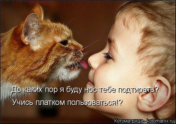 Котоматрица: До каких пор я буду нос тебе подтирать? Учись платком пользоваться!?