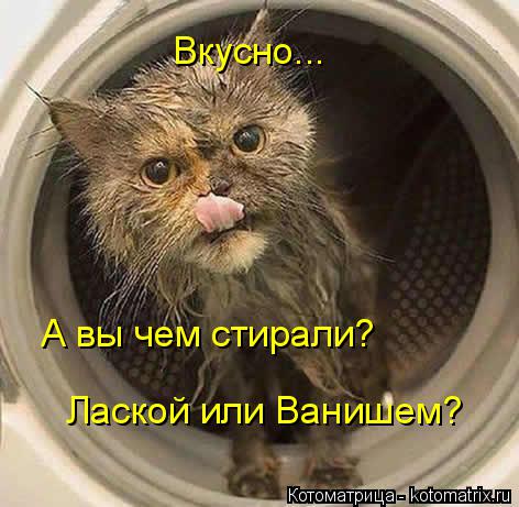 Котоматрица: Вкусно... А вы чем стирали? Лаской или Ванишем?