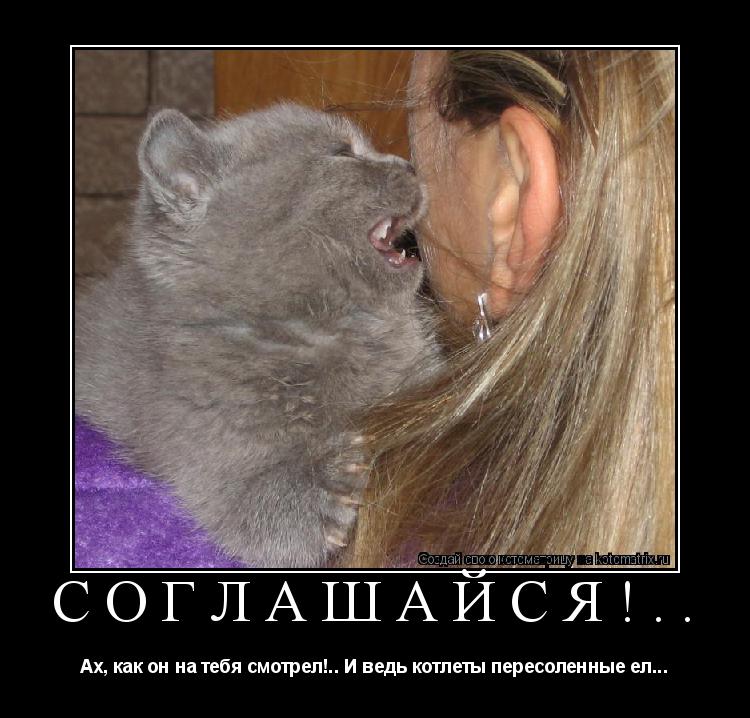 Котоматрица: СОГЛАШАЙСЯ!.. Ах, как он на тебя смотрел!.. И ведь котлеты пересоленные ел...
